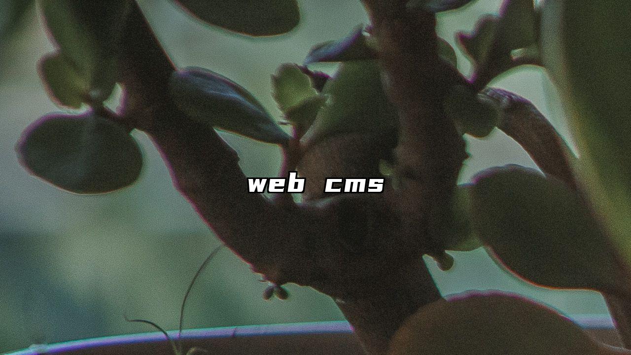 web cms