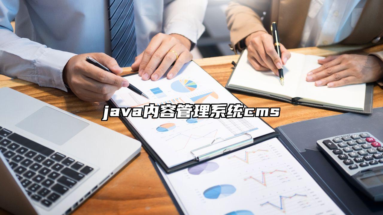 java内容管理系统cms