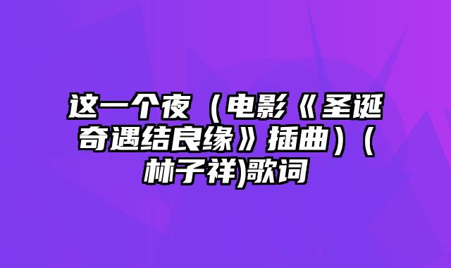 这一个夜（电影《圣诞奇遇结良缘》插曲）(林子祥)歌词