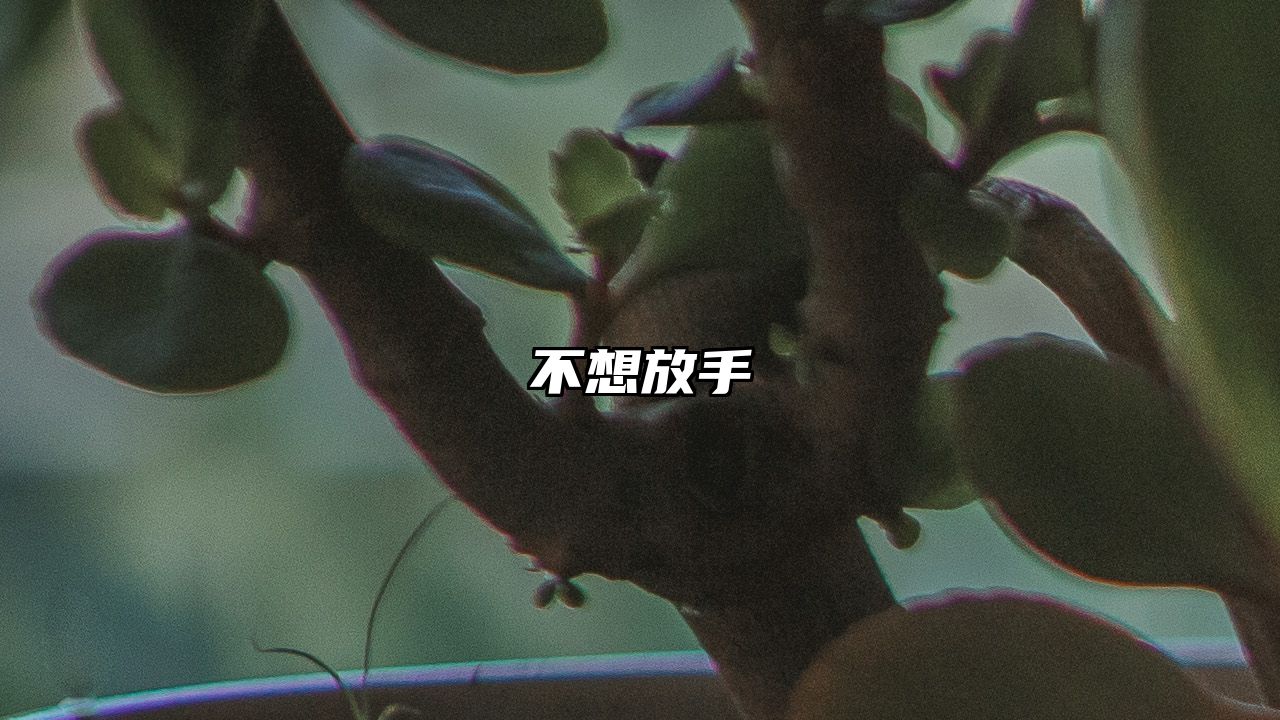 不想放手