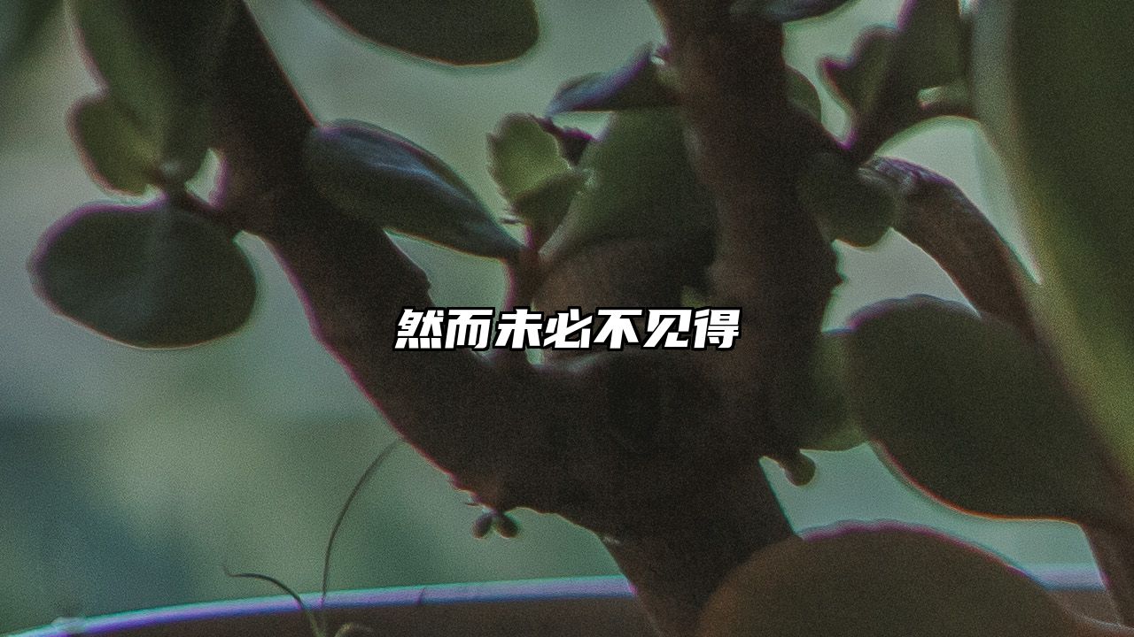 然而未必不见得