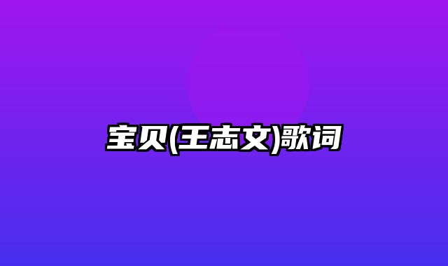 宝贝(王志文)歌词