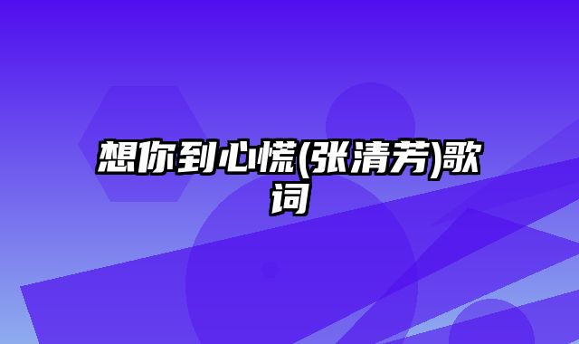 想你到心慌(张清芳)歌词