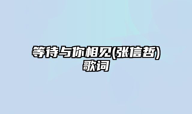 等待与你相见(张信哲)歌词