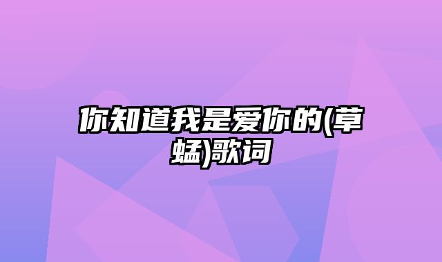 你知道我是爱你的(草蜢)歌词