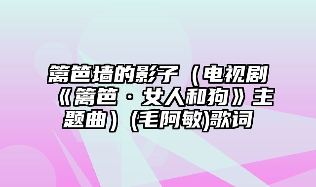 篱笆墙的影子（电视剧《篱笆·女人和狗》主题曲）(毛阿敏)歌词