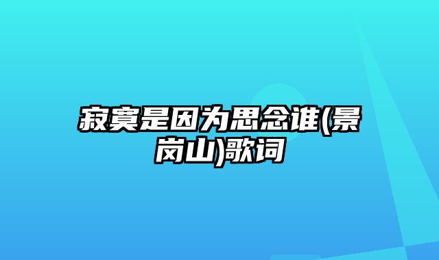 寂寞是因为思念谁(景岗山)歌词