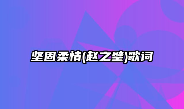 坚固柔情(赵之璧)歌词