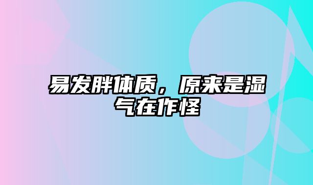 易发胖体质，原来是湿气在作怪