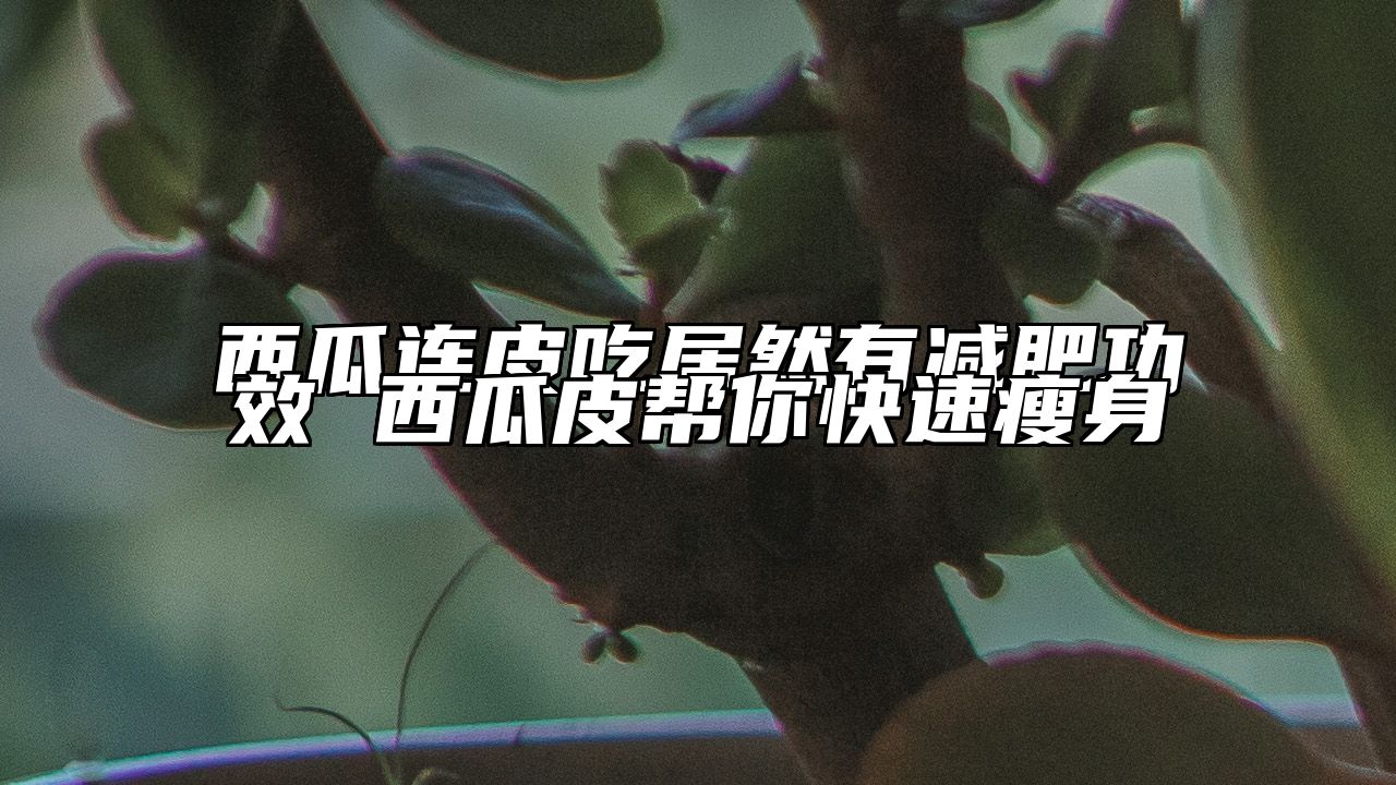 西瓜连皮吃居然有减肥功效 西瓜皮帮你快速瘦身