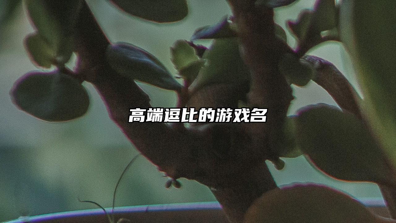 高端逗比的游戏名