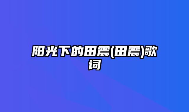 阳光下的田震(田震)歌词