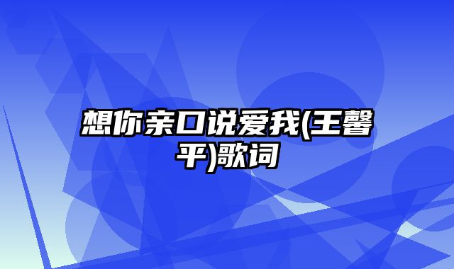 想你亲口说爱我(王馨平)歌词