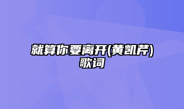 就算你要离开(黄凯芹)歌词