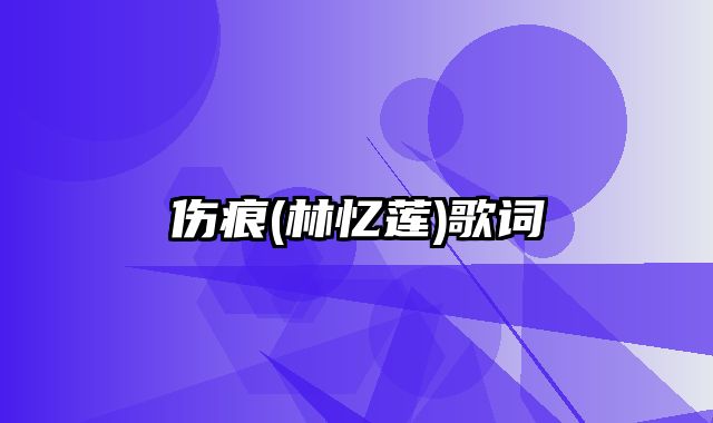 伤痕(林忆莲)歌词