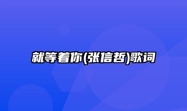 就等着你(张信哲)歌词