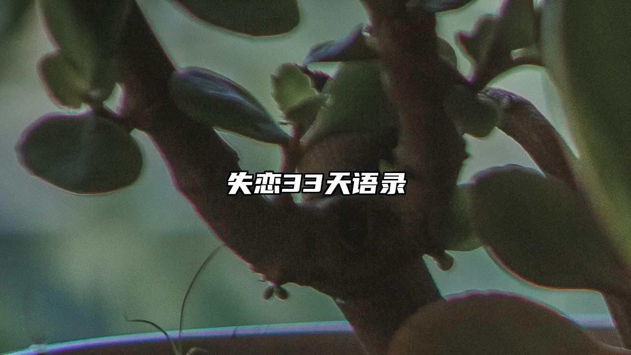 失恋33天语录