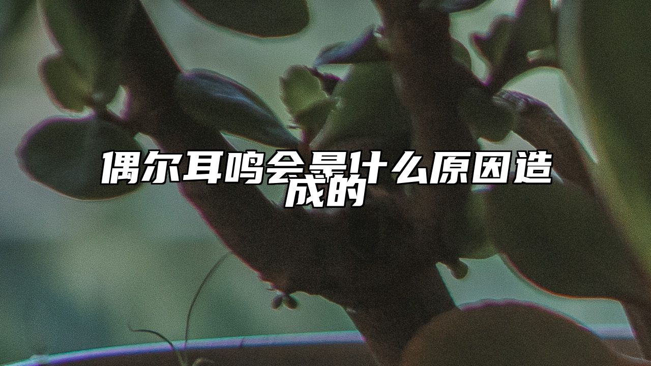 偶尔耳鸣会是什么原因造成的