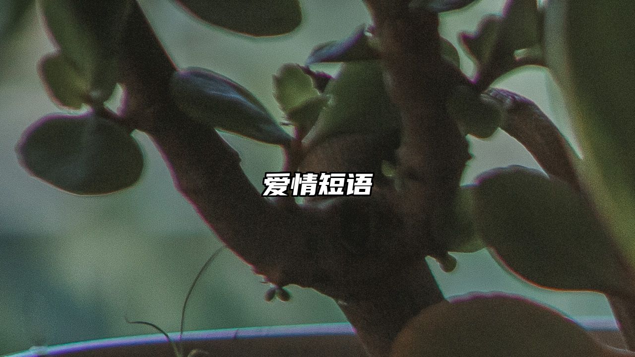 爱情短语