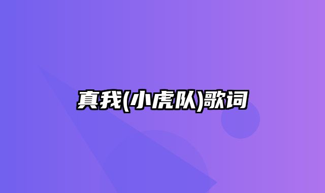 真我(小虎队)歌词