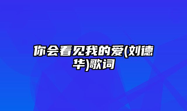 你会看见我的爱(刘德华)歌词