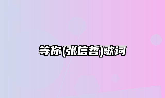 等你(张信哲)歌词