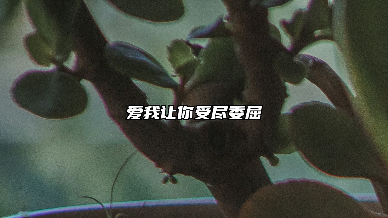 爱我让你受尽委屈