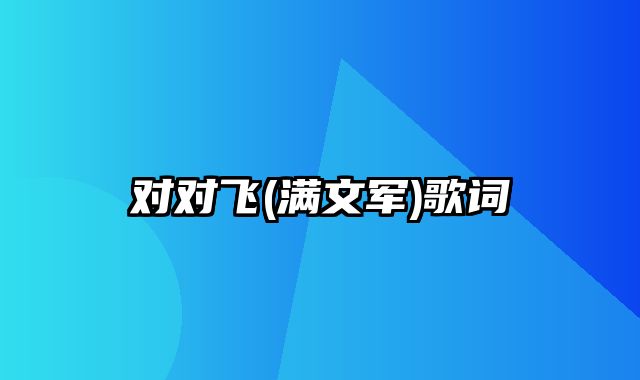 对对飞(满文军)歌词