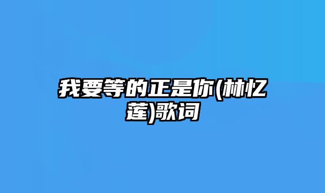 我要等的正是你(林忆莲)歌词