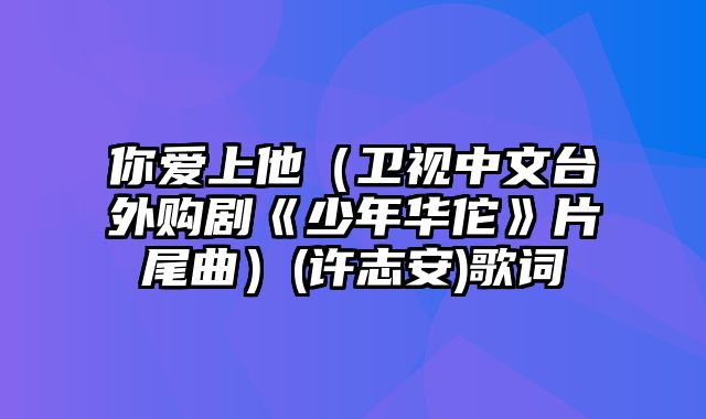 你爱上他（卫视中文台外购剧《少年华佗》片尾曲）(许志安)歌词