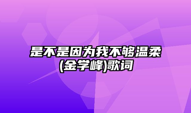 是不是因为我不够温柔(金学峰)歌词