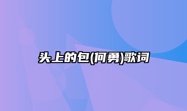 头上的包(何勇)歌词