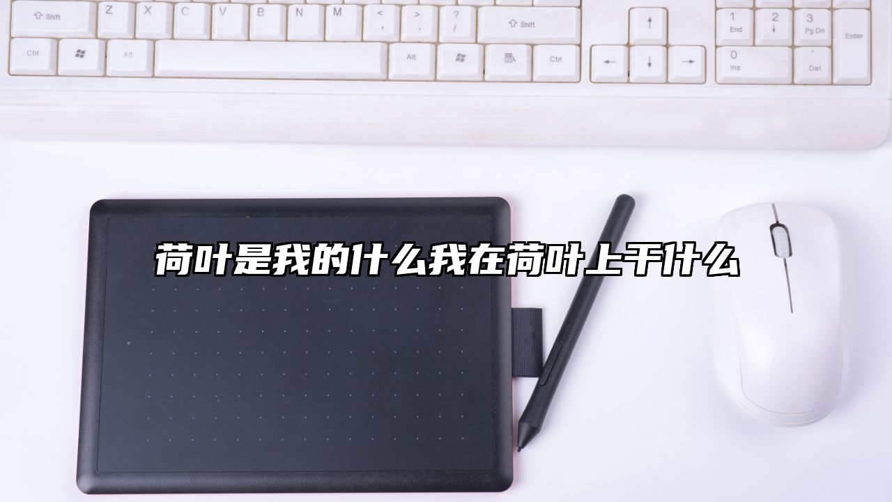 荷叶是我的什么我在荷叶上干什么