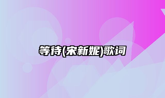 等待(宋新妮)歌词