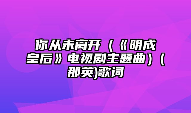 你从未离开（《明成皇后》电视剧主题曲）(那英)歌词