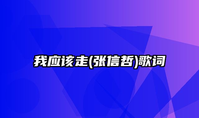 我应该走(张信哲)歌词