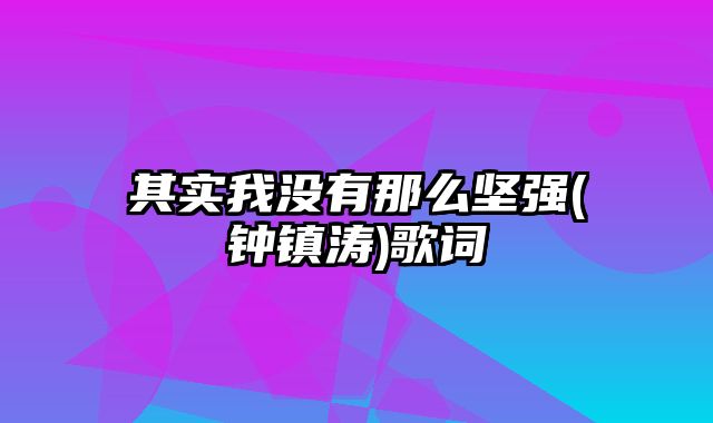 其实我没有那么坚强(钟镇涛)歌词