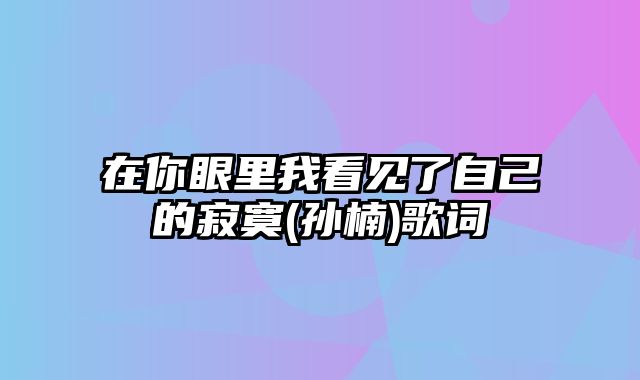 在你眼里我看见了自己的寂寞(孙楠)歌词