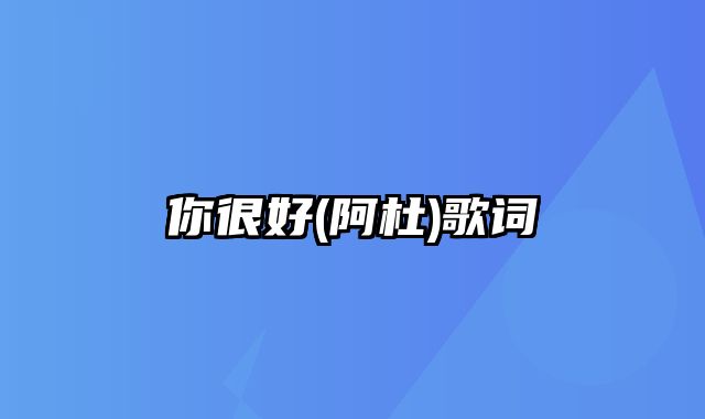 你很好(阿杜)歌词